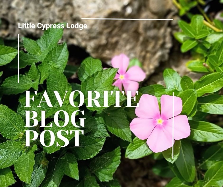 My Favorite Blog&nbsp;Finds